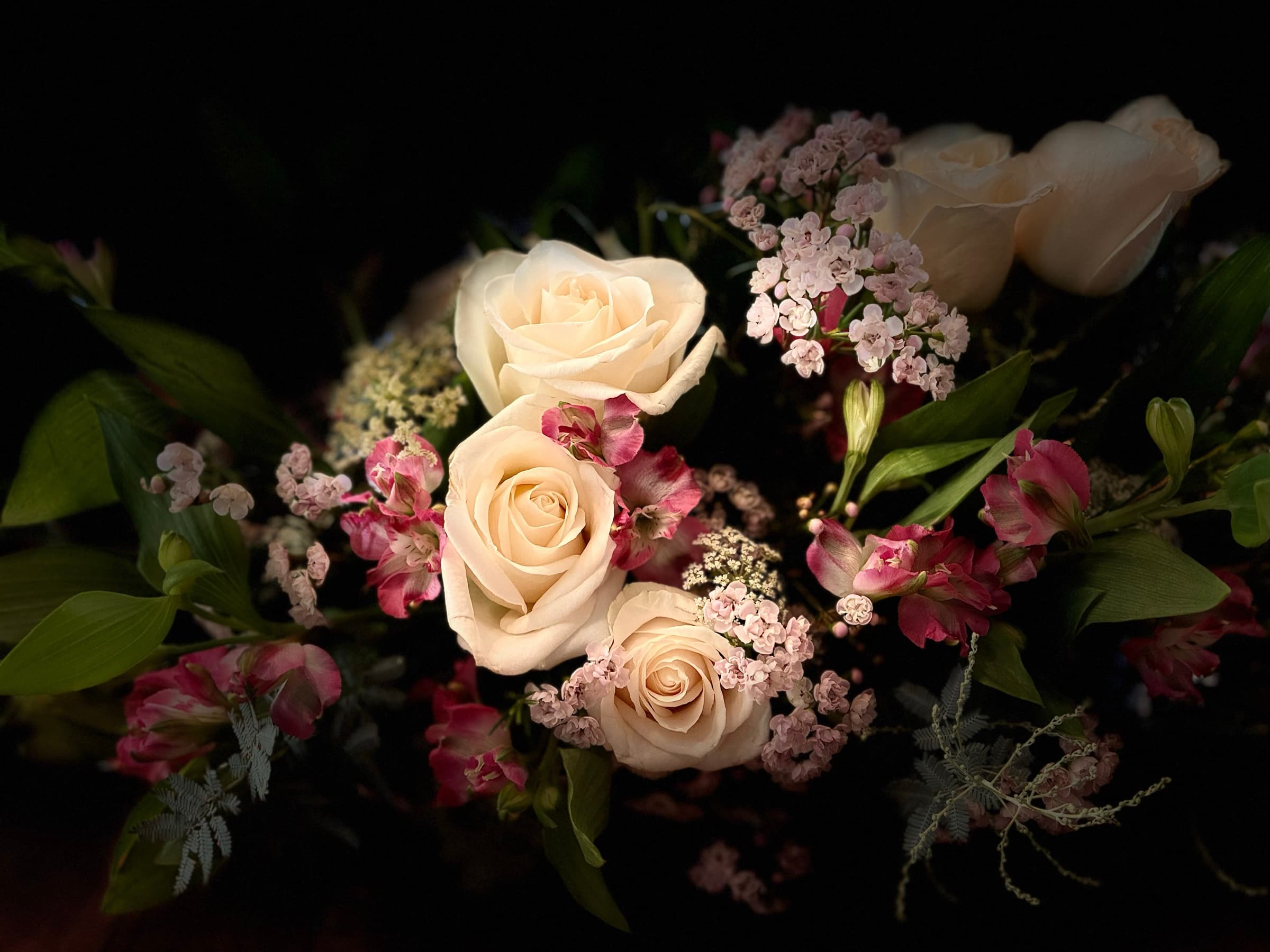 Cream roses and sweet william, low and lush